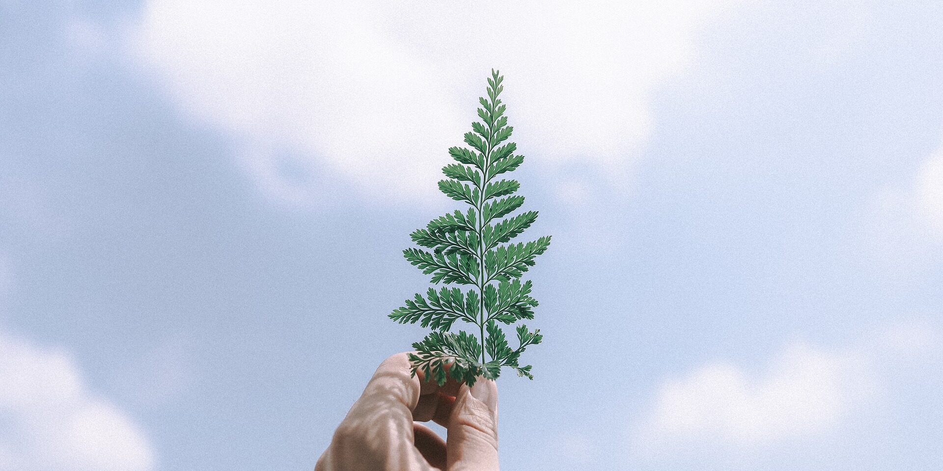 subsidie zonneboiler