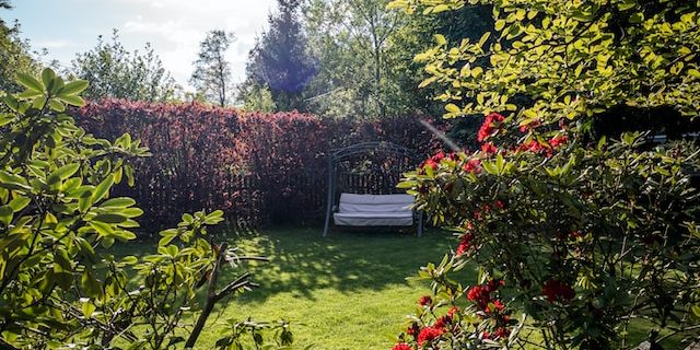 matthew-57sqDCxX4Ik-unsplash (1) Kleine tuin